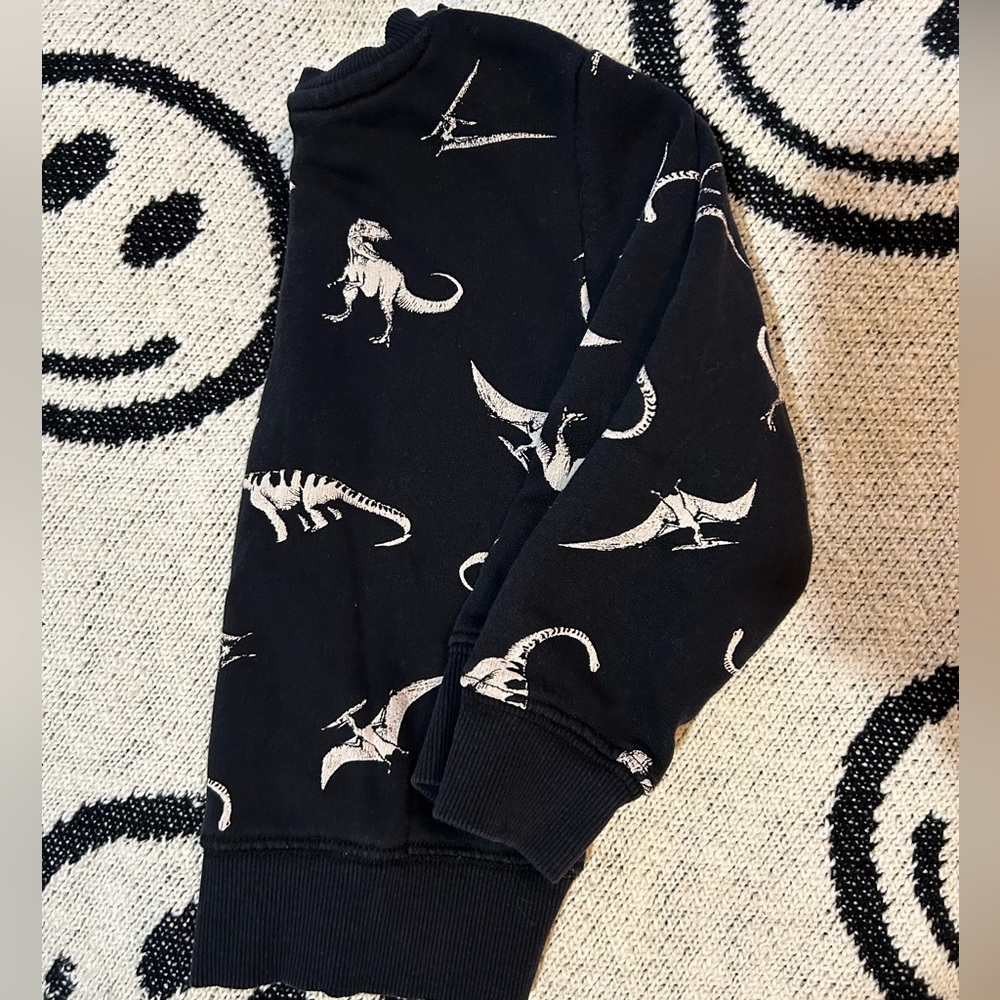 Neutral Dino sweatshirt, 2t